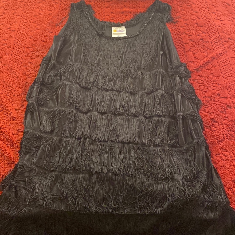 Flapper Dress 3x